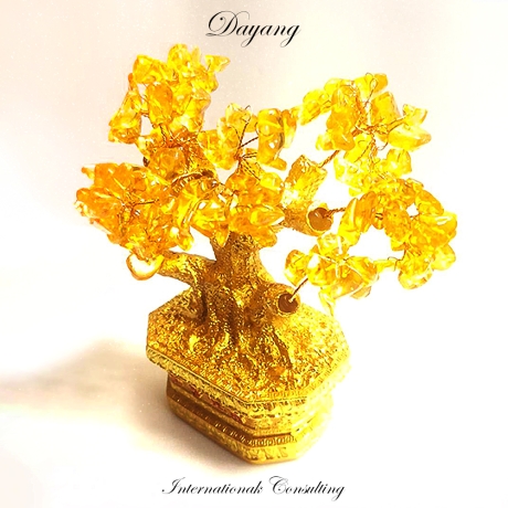 生生不息發大財招財樹